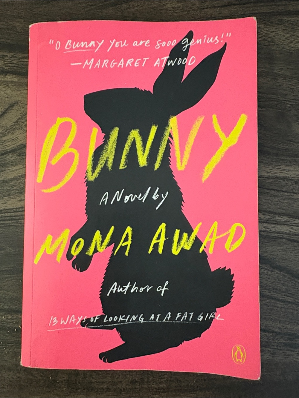 Bunny by Mona Awad - Bright Pink Paperback Novel